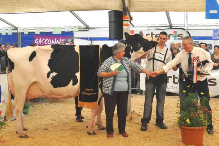 La vache 6250 en 5ème lactation du Gaec de la Ferrandié à Montredon-Labessonnié termine championne adulte, meilleure mamelles adultes et grande championne du concours.