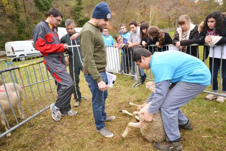 À l’issue des épreuves, 12 Tarnais ont été sélectionnés pour la finale régionale qui se déroulera le 18 janvier au lycée de Saint-Gaudens (31). Il s’agira alors de se qualifier pour la finale